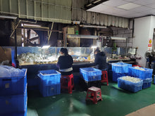 24inch rotomoulding machine for plastic toy 2 axis rotation and 3 spiders equipped